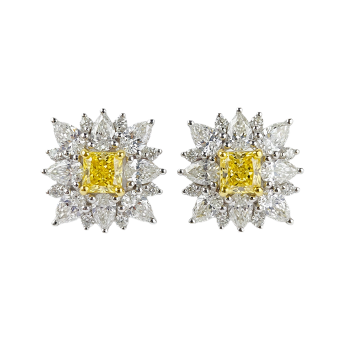 18K White Gold 0.59ct Fancy Colour Diamond Earrings