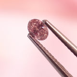 0.19ct 6PR Oval Argyle Pink Diamond
