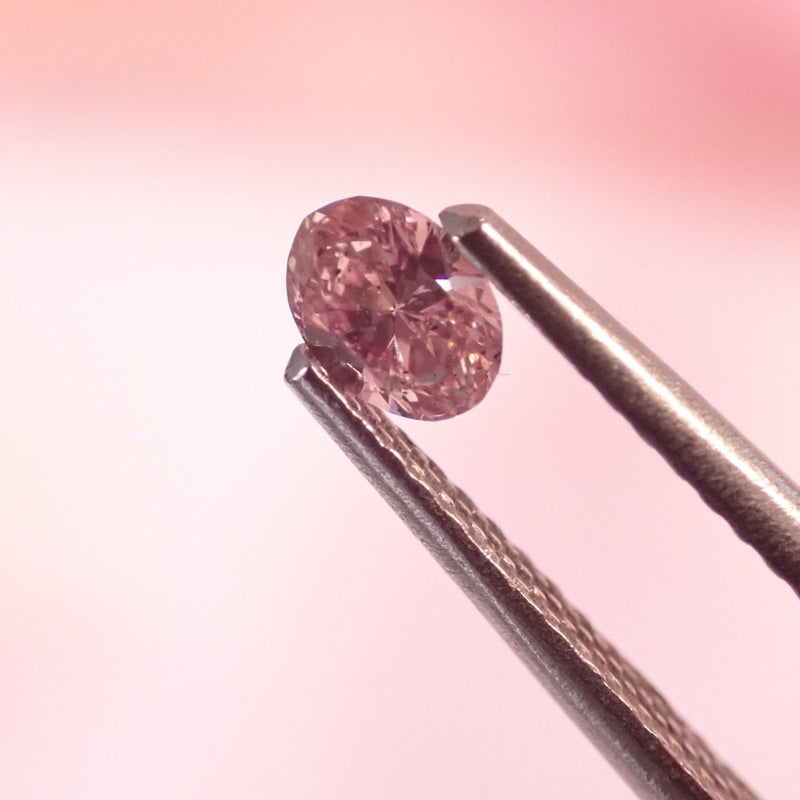 0.19ct 6PR 橢圓形 Argyle 粉紅鑽
