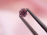 Argyle 粉紅鑽 0.16ct 圓形 實物特寫