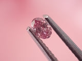 Argyle 粉紅鑽 0.08ct 橢圓形 實物特寫
