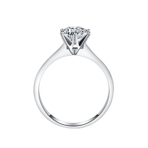 Plain Ring Setting R07